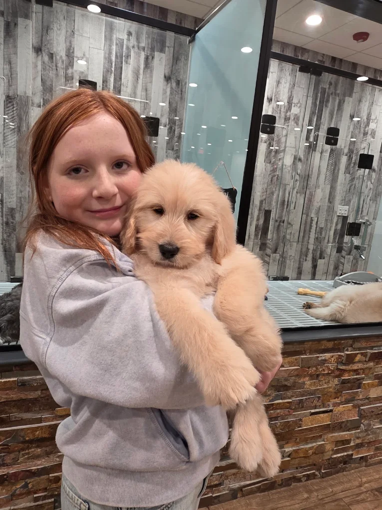 Girl holding a golden puppy at Petland Columbus